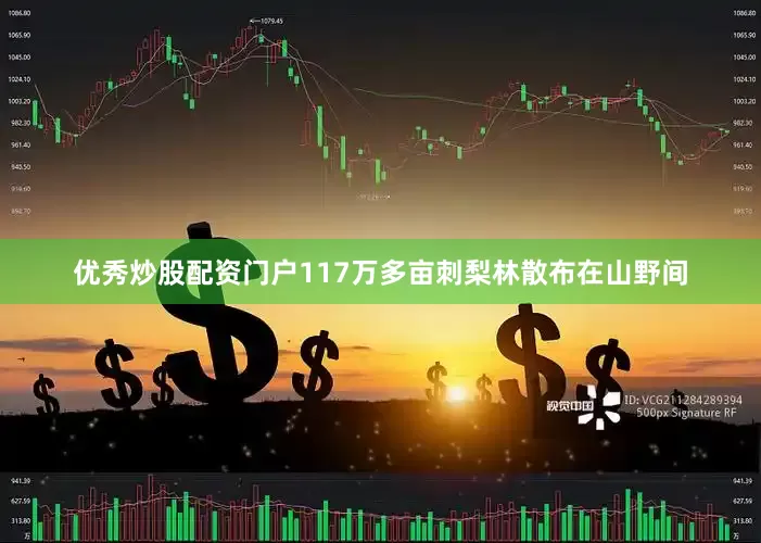 优秀炒股配资门户117万多亩刺梨林散布在山野间