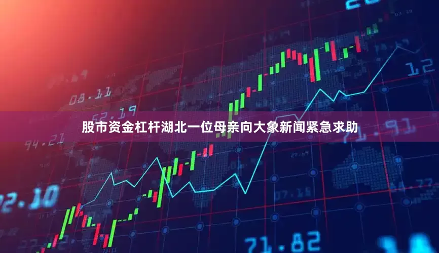 股市资金杠杆湖北一位母亲向大象新闻紧急求助