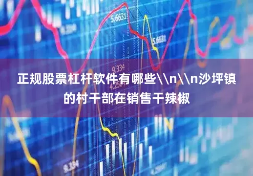 正规股票杠杆软件有哪些\n\n沙坪镇的村干部在销售干辣椒