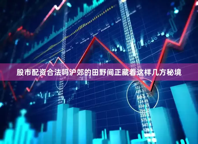 股市配资合法吗沪郊的田野间正藏着这样几方秘境