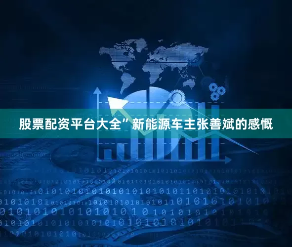 股票配资平台大全”新能源车主张善斌的感慨