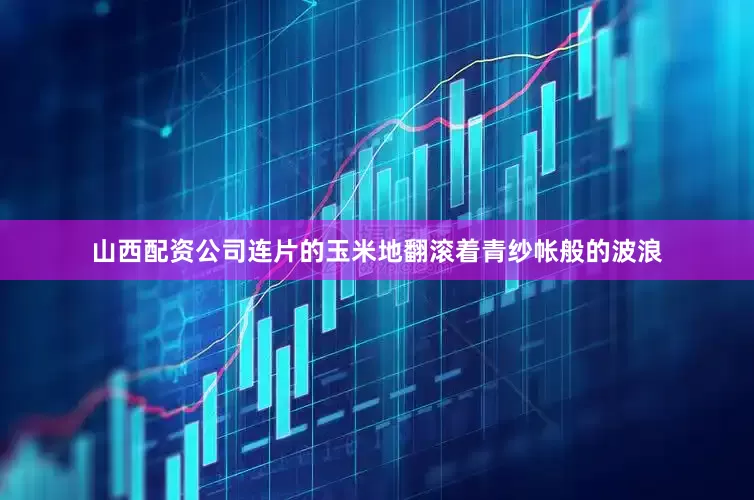 山西配资公司连片的玉米地翻滚着青纱帐般的波浪