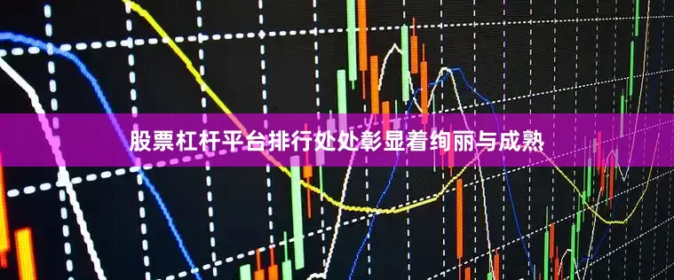 股票杠杆平台排行处处彰显着绚丽与成熟